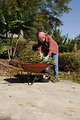 Free Stock Photo: A woman gardening outdoors