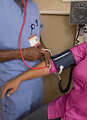 Free Stock Photo: A male nurse taking the blood pressure of a woman
