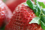 Free Stock Photo: Closeup of strawberries