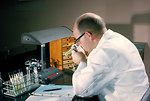 Free Stock Photo: A laboratory technician taking notes