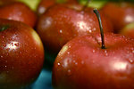 Free Stock Photo: Closeup of red apples