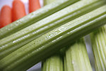 Free Stock Photo: Close-up of fresh vegetables on a white plate