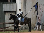Free Stock Photo: Knight on a horse