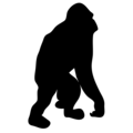 Free Stock Photo: Illustrated silhouette of a gorilla