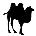 Free Stock Photo: Illustrated silhouette of a camel