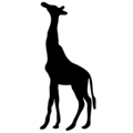 Free Stock Photo: Illustrated silhouette of a giraffe