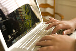 Free Stock Photo: Female hands typing on a laptop keyboard