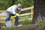 Free Stock Photo: A man spreading fertilizer on his garden