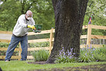 Free Stock Photo: A man spreading fertilizer on his garden