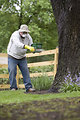 Free Stock Photo: A man spreading fertilizer on his garden