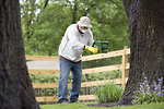 Free Stock Photo: A man spreading fertilizer on his garden
