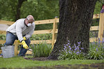 Free Stock Photo: A man spreading fertilizer on his garden
