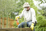 Free Stock Photo: A man spraying a pesticide on some plants in his garden