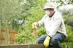 Free Stock Photo: A man spraying a pesticide on some plants in his garden