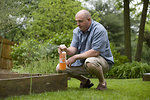 Free Stock Photo: A man spraying a pesticide on some plants in his garden
