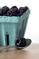 Free Stock Photo: A container of blackberries