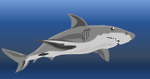 Free Stock Photo: Illustration of a shark