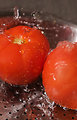 Free Stock Photo: Two fresh tomatoes being washed under running water