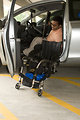 Free Stock Photo: A disabled man in a wheelchair getting out of a car