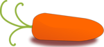 Free Stock Photo: Illustration of an orange carrot