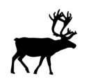Free Stock Photo: Illustrated silhouette of a reindeer