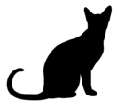 Free Stock Photo: Illustrated silhouette of a black cat