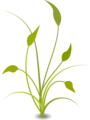 Free Stock Photo: Illustration of a green plant