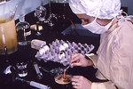 Free Stock Photo: A woman working in a laboratory
