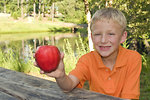 Free Stock Photo: A boy holding an apple