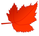 Free Stock Photo: Illustration of a red autumn leaf
