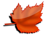 Free Stock Photo: Illustration of a red autumn leaf with a transparent background.