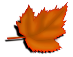 Free Stock Photo: Illustration of an orange autumn leaf