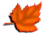 Free Stock Photo: Illustration of an orange autumn leaf