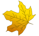 Free Stock Photo: Illustration of a yellow autumn leaf