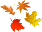 Free Stock Photo: Illustration of colorful autumn leaves