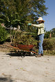 Free Stock Photo: A woman doing yardwork outside.