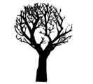Free Stock Photo: Illustration of a silhouette of a tree