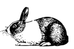 Free Stock Photo: Illustration of a rabbit