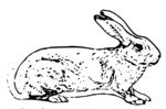 Free Stock Photo: Illustration of a rabbit