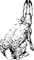 Free Stock Photo: Illustration of a rabbit