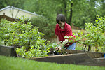 Free Stock Photo: A boy working in a garden outdoors