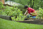 Free Stock Photo: A boy working in a garden outdoors