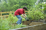 Free Stock Photo: A boy working in a garden outdoors