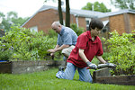 Free Stock Photo: A father and son working in a garden outdoors