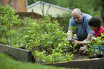 Free Stock Photo: A father and son working in a garden outdoors