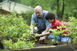 Free Stock Photo: A father and son working in a garden outdoors