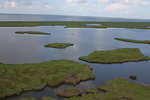 Free Stock Photo: Aerial view of a marsh