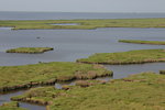 Free Stock Photo: Aerial view of a marsh
