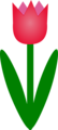 Free Stock Photo: Illustration of a pink tulip