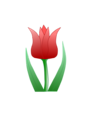 Free Stock Photo: Illustration of a pink tulip